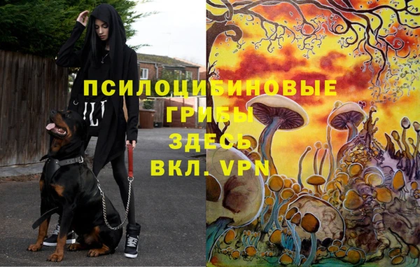 герыч Алзамай