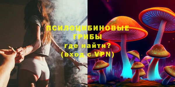 винт Алексин