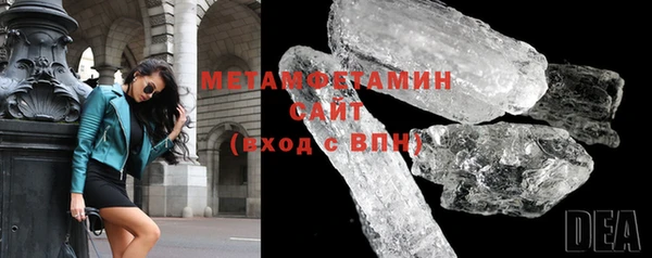 шишки Няндома
