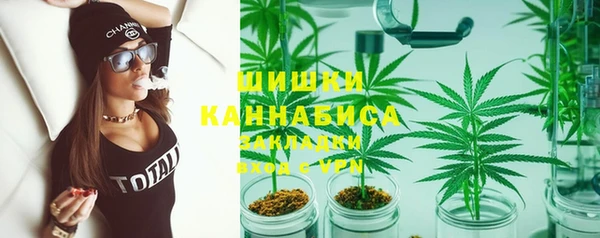винт Алексин